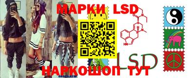 стафф Донецк