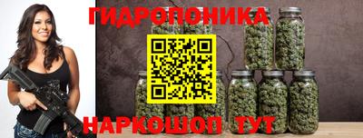 стафф Донецк