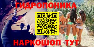 стафф Донецк
